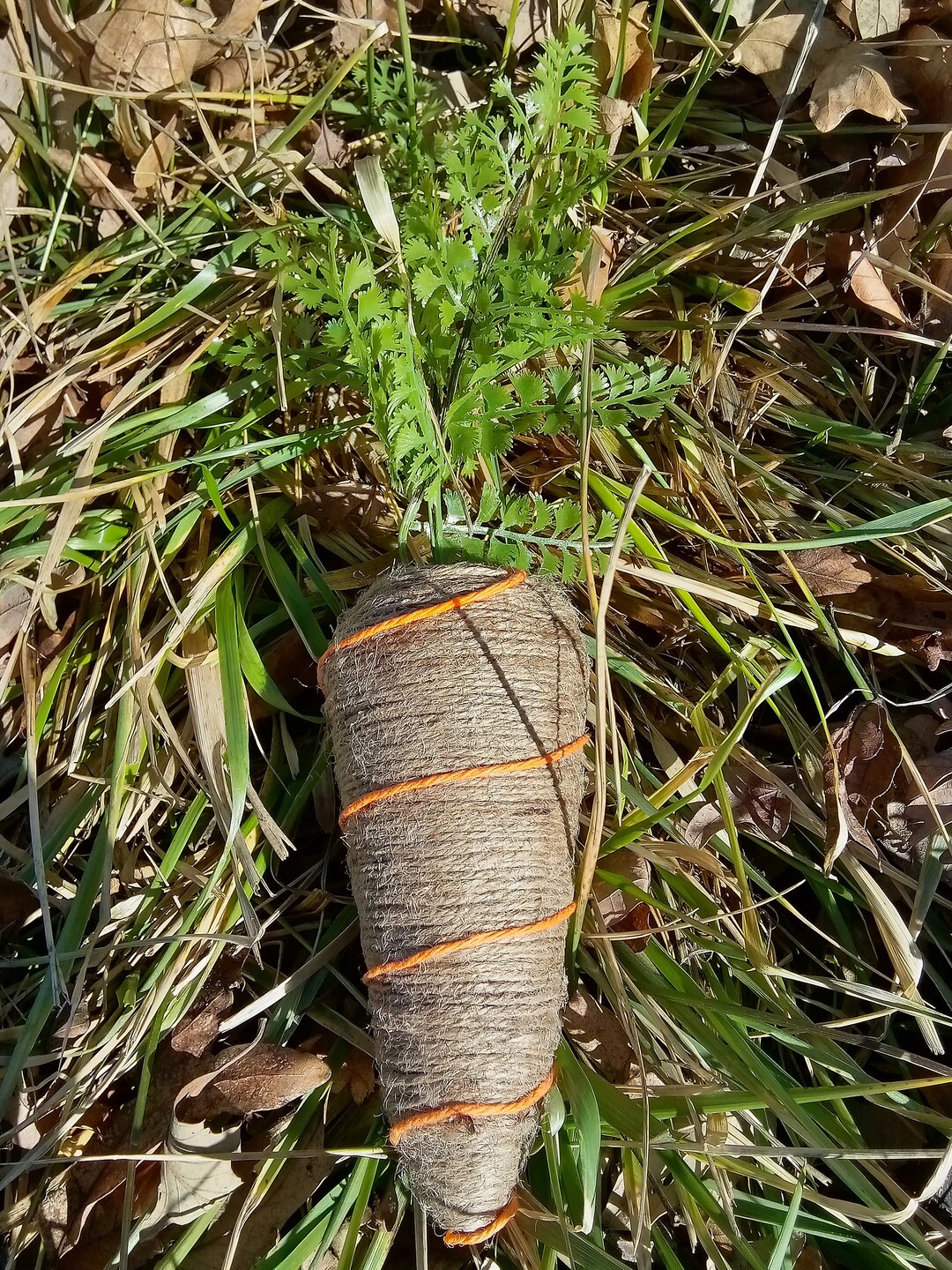 Easter Decor Carrots, Spring Decor Carrot Bunny Rustic Carrots Carrots