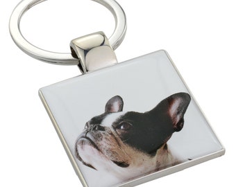 Targa Cuore commemorativa per Cane e Gatto, Cuore con foto personalizzabile in pietra con foto del tuo animale domestico (Cuore 20cm