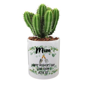 Può includere: Un vaso di ceramica bianco con un design a foglie verdi e il testo "Mum Happy Mother's Day Love from Alfie xx". Una piccola pianta di cactus è nel vaso.