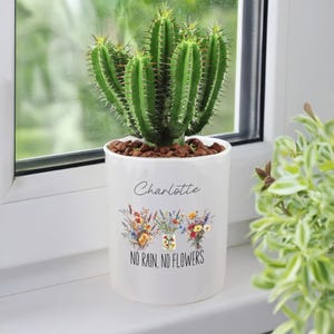 Pode incluir: Vaso de cerâmica branco com o nome "Charlotte" e o texto "Sem chuva, sem flores" impresso nele. O vaso tem um design floral e está cheio de uma planta de cacto.