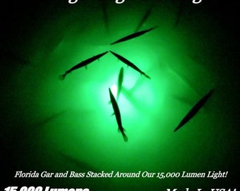 Puede incluir: Una escena submarina verde con múltiples siluetas de peces reunidas alrededor de una luz verde brillante. El texto "Bright Night Fishing" está en la parte superior de la imagen. El texto "Florida Gar and Bass Stacked Around Our 15,000 Lumen Light!" está en la parte inferior de la imagen. El texto "15,000 Lumens" está en la esquina inferior izquierda. El texto "Made In USA!" está en la esquina inferior derecha.