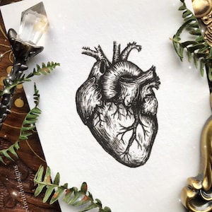 Anatomical Heart Illustration Art Print