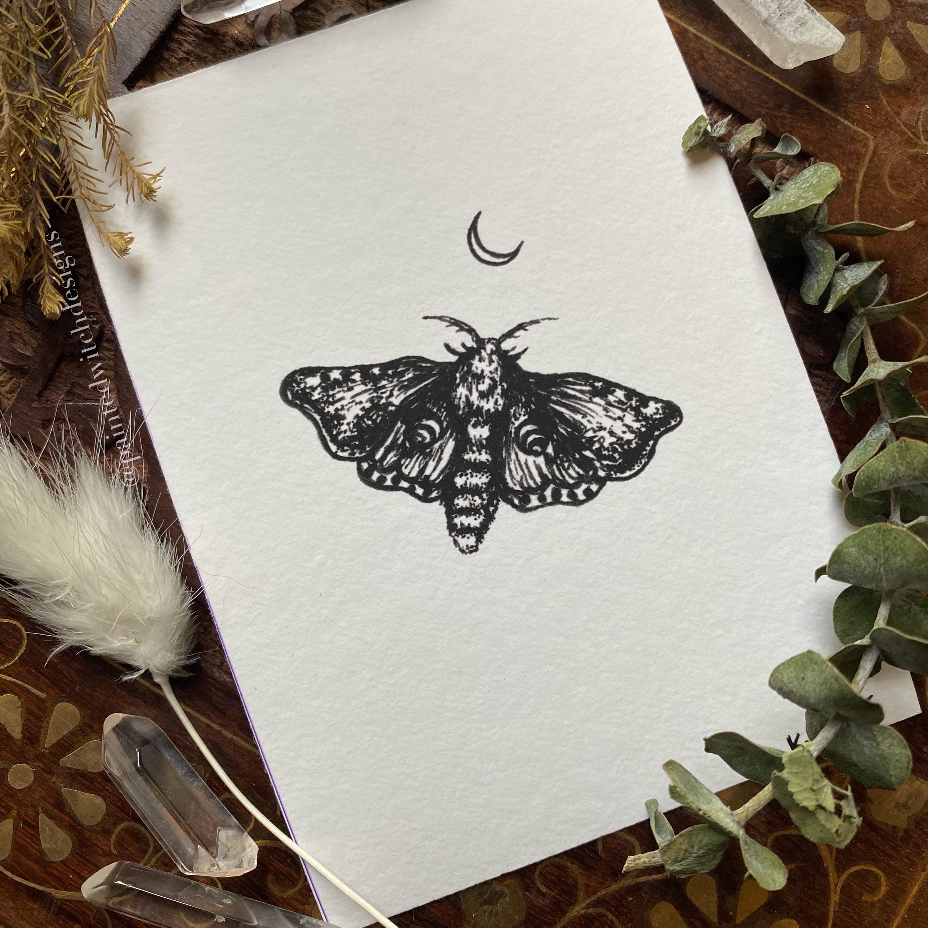 Moth & Moon Illustration Art Print - Etsy