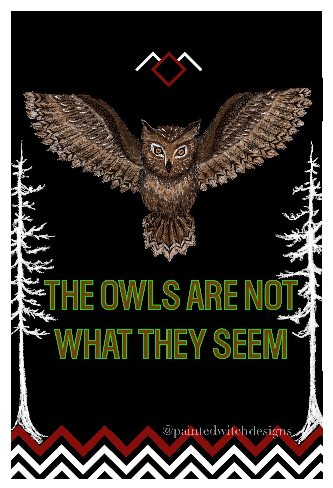 洋楽 V/Vm The Owls Are Not What They Seem Stream 