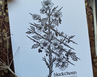 Blackthorn Ogham Art Print