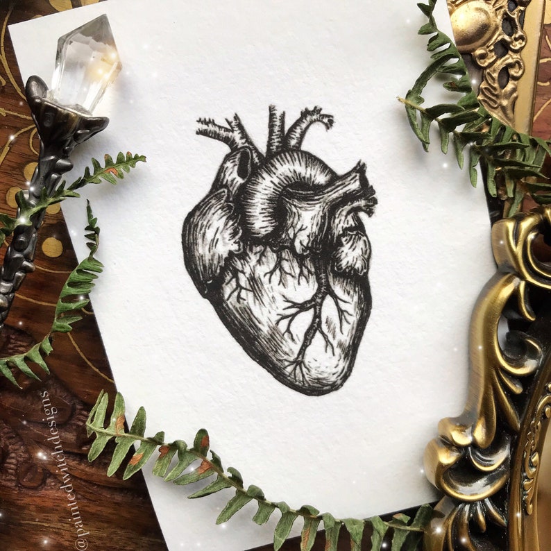 Anatomical Heart Mini Art Print image 1