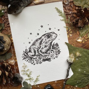 May include: Black and white line art print of a frog sitting in a bed of flowers and mushrooms with stars in the background. The print is on white paper and has the artist's Instagram handle, @paintedwitchdesigns, in the bottom left corner.