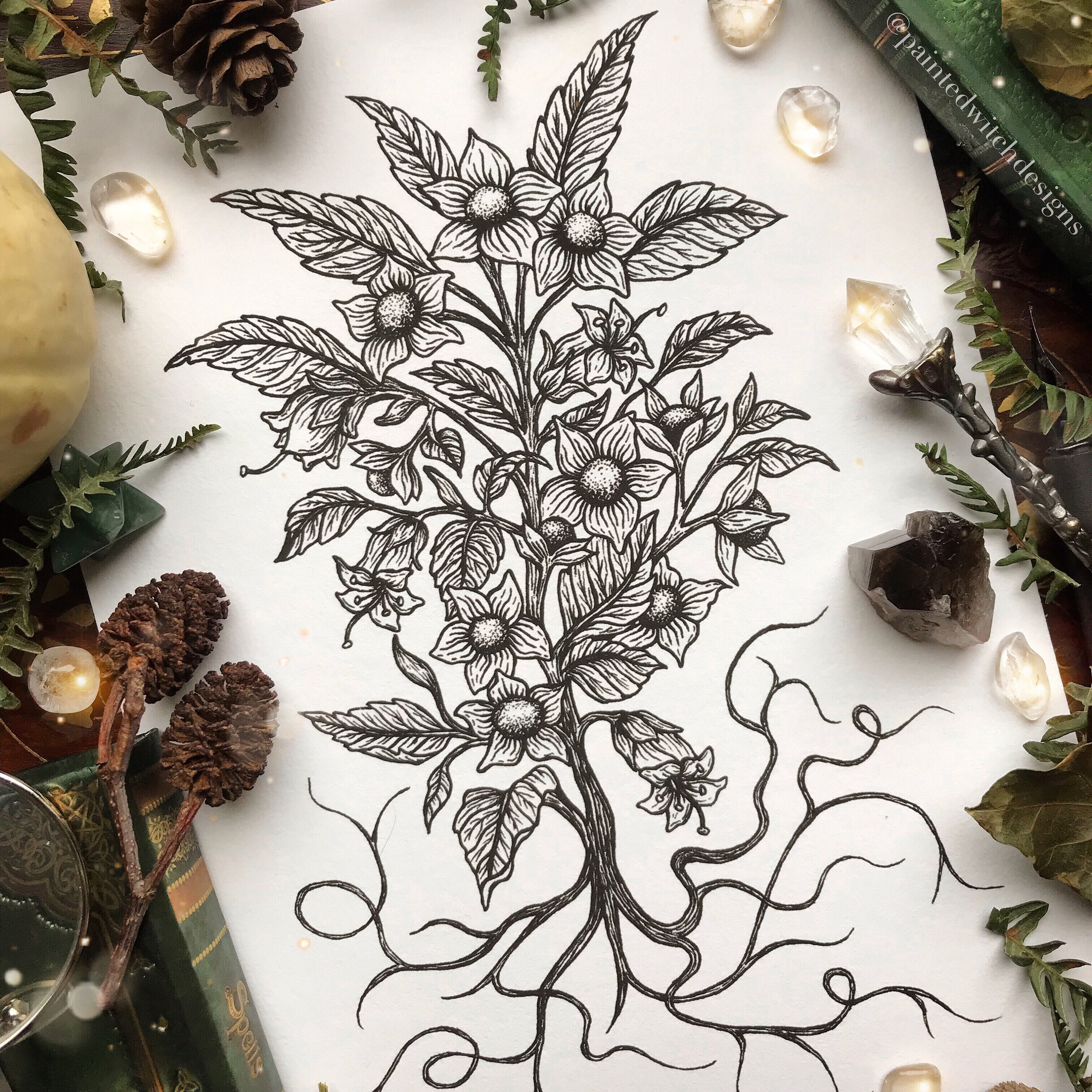 Deadly Nightshade Tattoo