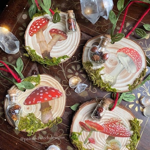 May include: Four wooden ornaments featuring red and white mushrooms, green moss, and small glass bottles filled with dried herbs. The ornaments are decorated with the text "@paintedwitchdesigns".
