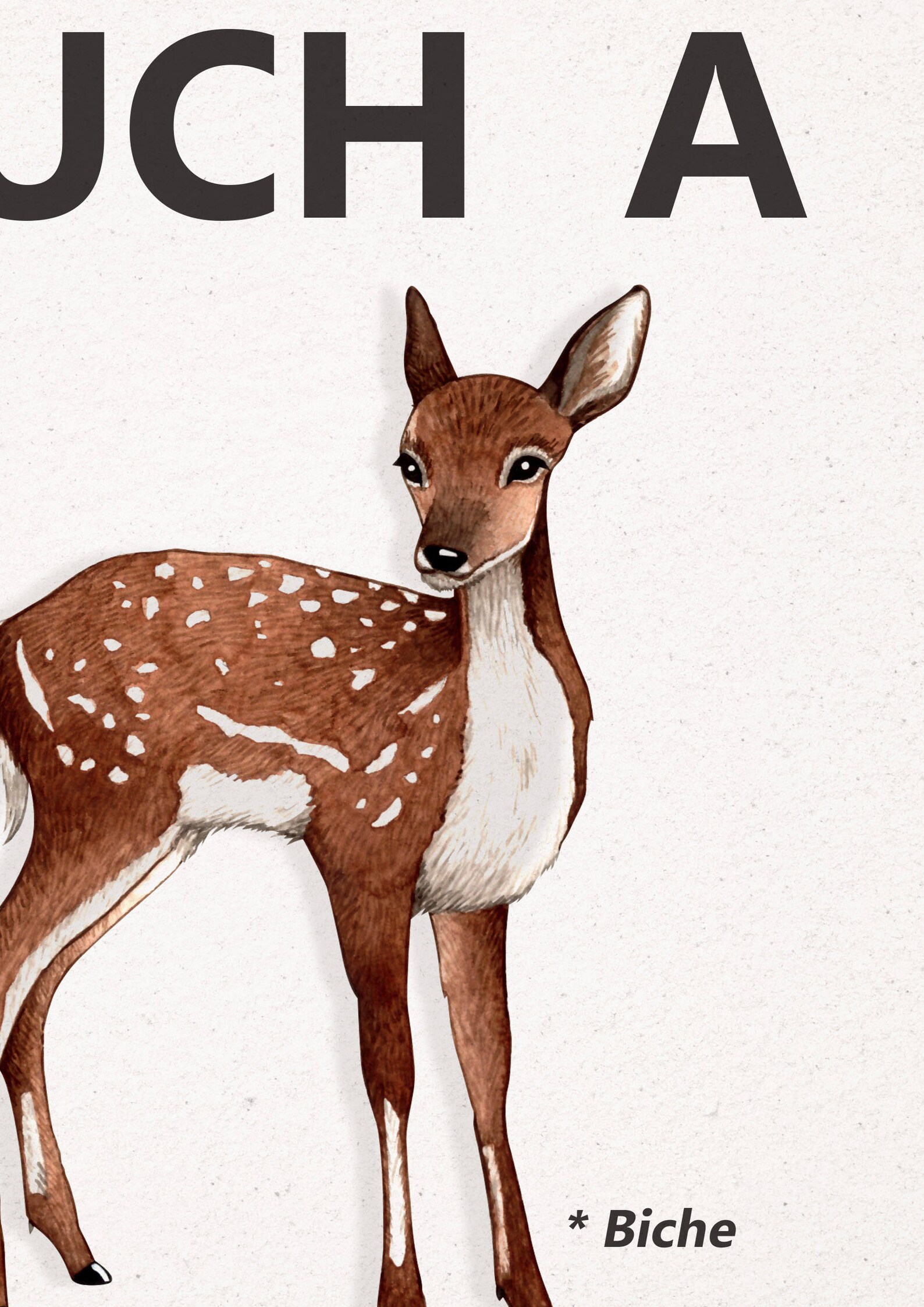 Affiche Biche Dessin Aquarelle Affiche Message Dr le Etsy