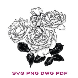 Rose Floral Fine Line Art Design: svg png dwg pdf -  instant download, rose outline, cricut file, botanical svg, floral svg, hand drawn