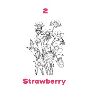 May include: A black and white line drawing of a strawberry plant with the number "2" and the word "Strawberry" in pink text. The plant has several white flowers and red strawberries.