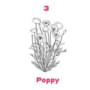 May include: A black and white line drawing of a poppy flower with the number 3 and the word "Poppy" below the image.