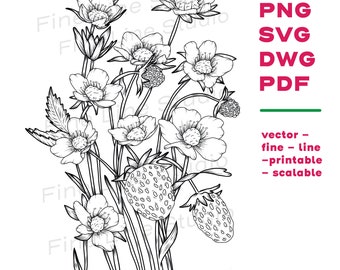 Strawberry Blossom Line Art: Floral SVG, Cricut File (Digital Download)