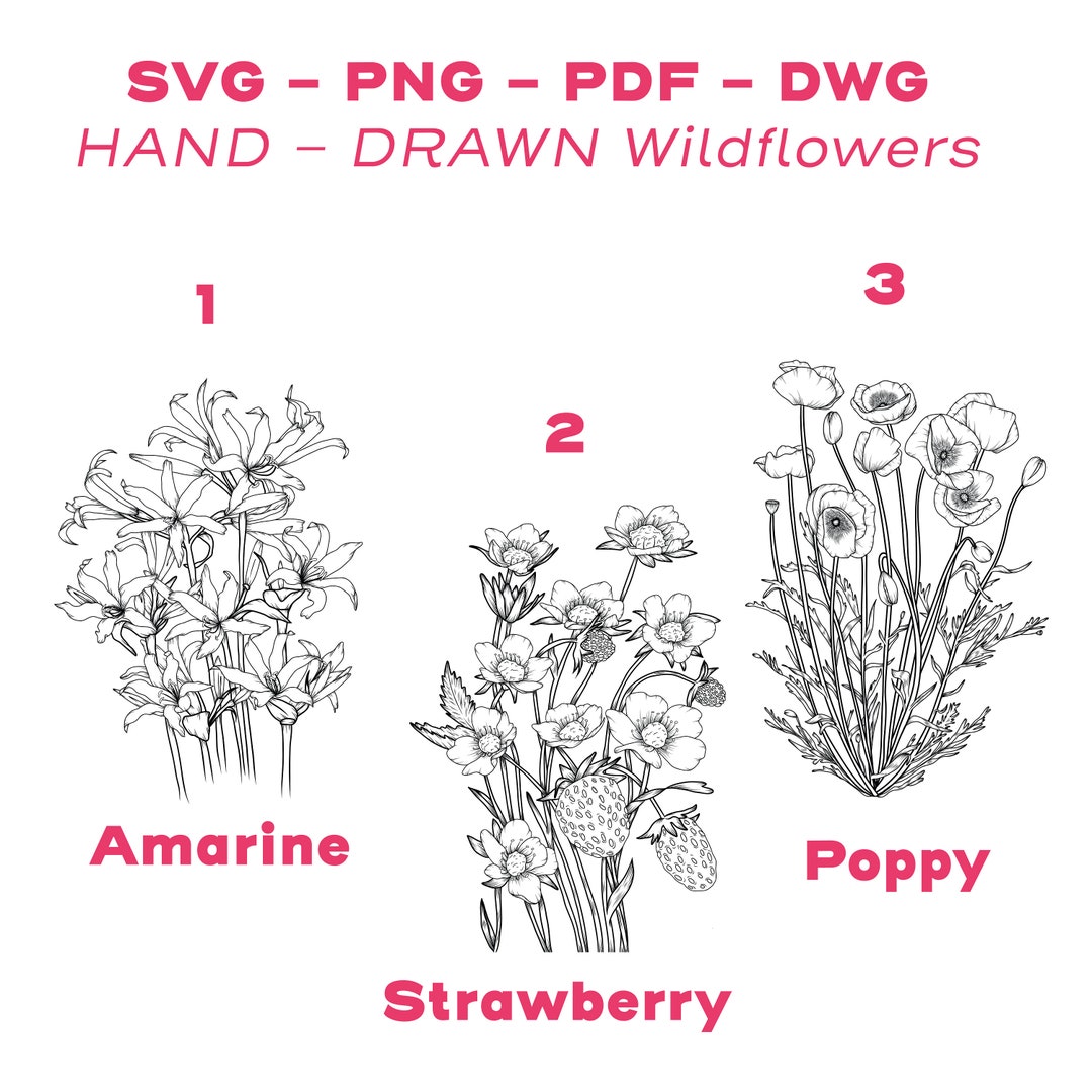 Wildflower Line Art Floral Design Bundle Svg Png Pdf Dwg - Vector ...
