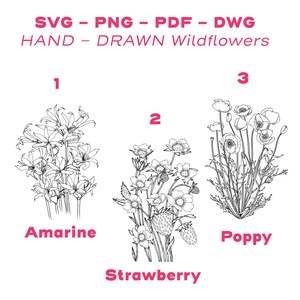 May include: Line art illustrations of three different wildflowers: Amarine, Strawberry, and Poppy. The illustrations are in black and white and are labelled with the flower's name.