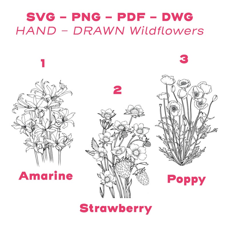 May include: Line art illustrations of three different wildflowers: Amarine, Strawberry, and Poppy. The illustrations are in black and white and are labelled with the flower's name.