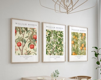 William Morris Set of 3 Art Prints, William Morris Print, William Morris Wall Art, William Morris Gallery Wall Art Prints, Botanical Prints