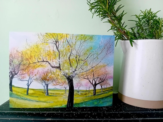 Apple Blossom Greetings Card