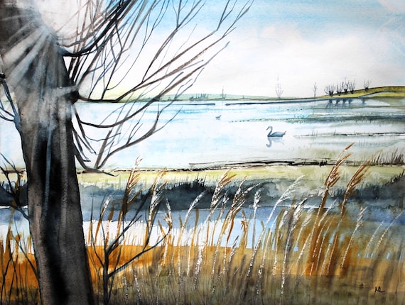 Swans, Sunshine and Floods (watercolour original)