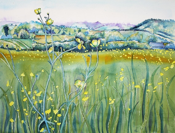 Somerset Buttercups (print)