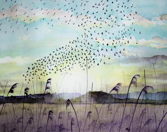 Starlings on the Avalon Marshes (print)