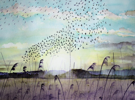 Starlings on the Avalon Marshes (print)