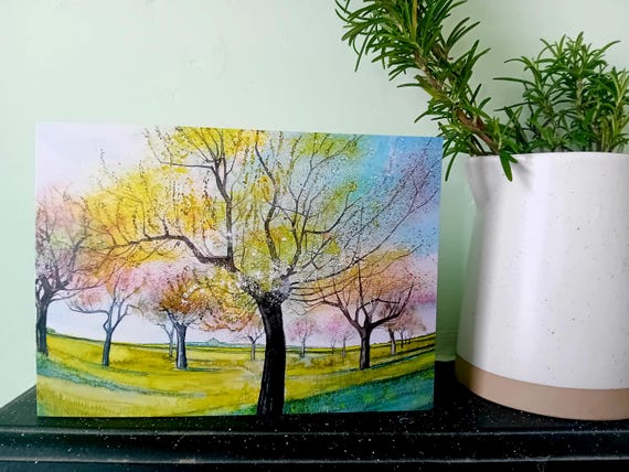 Apple Blossom Greetings Card