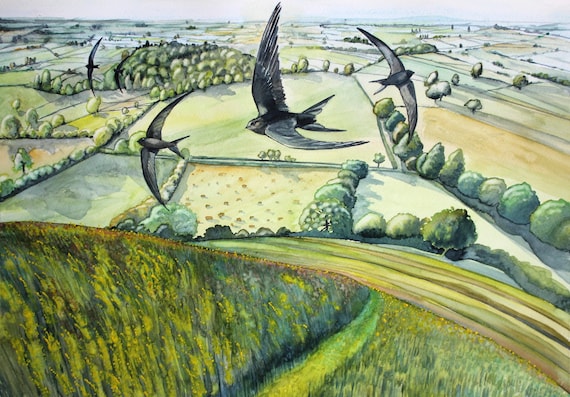 Lammas (print)