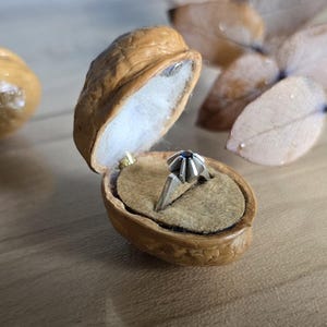 May include: A silver ring with a dark gemstone is displayed inside a walnut shell, open to reveal the ring. Two other walnuts are in the background. The ring is set on a tan velvet-like material. Dried flowers are in the background.