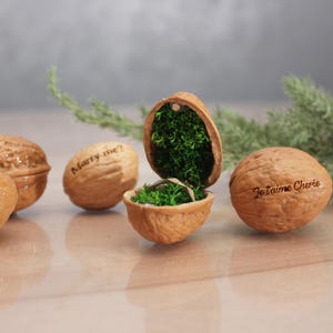 May include: Five walnut shells with engraved messages, including "Marry me?" and "Je t'aime Cherie." One shell is open and contains a ring on a bed of moss.
