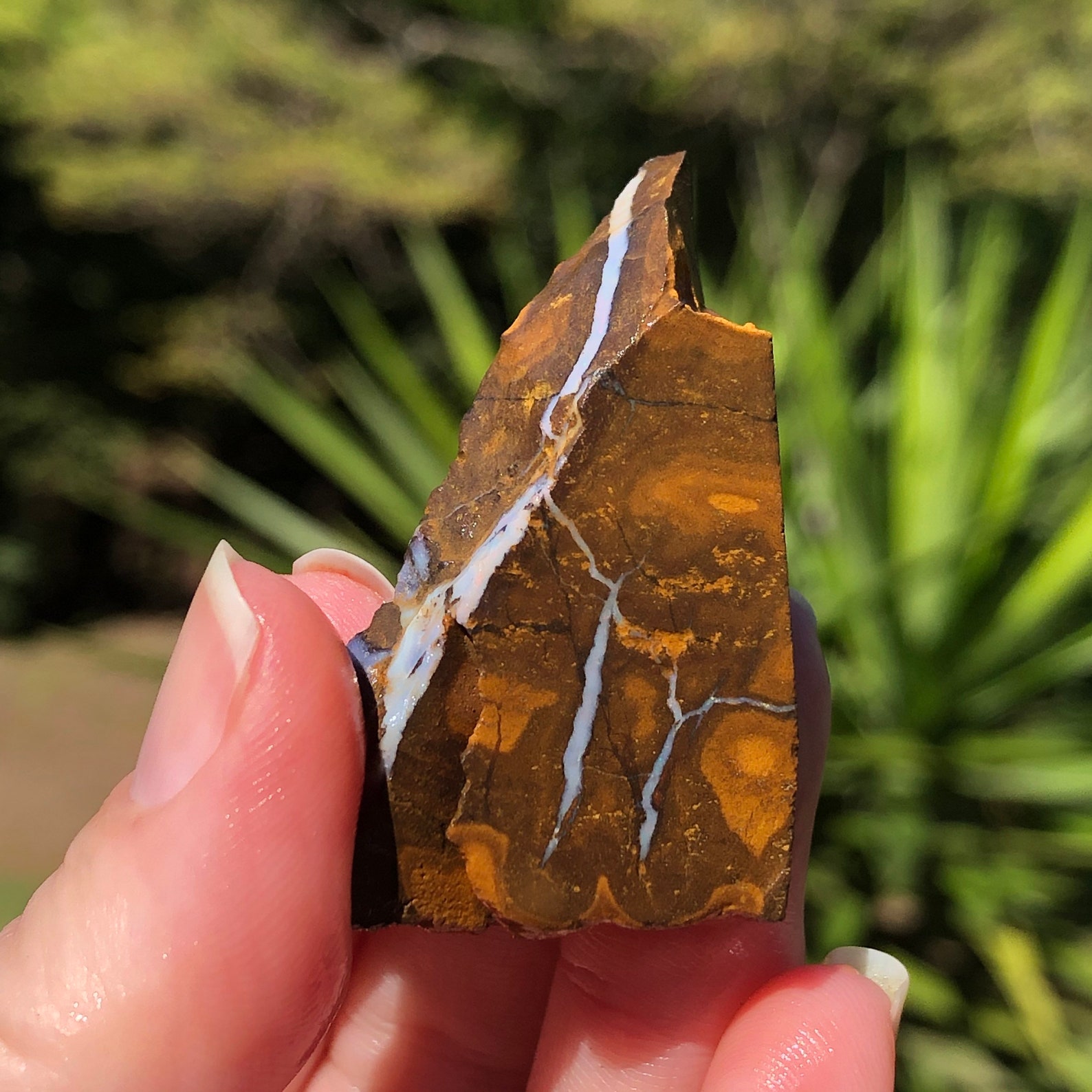 UNDER PRESSURE Rough Raw Boulder Opal Specimen from Winton | Etsy