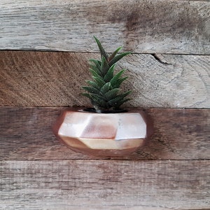 Planteur de mur, Planteur suspendu intérieur, Support de mur d’usine d’air, homme de cadeau de jardin, terrarium suspendu, jardin de mur, planteur en céramique, planteur de bronze