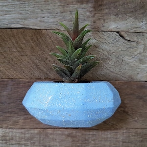 Planteur de mur, Planteur suspendu intérieur, Support de mur d’usine d’air, homme de cadeau de jardin, terrarium suspendu, jardin de mur, planteur en céramique, planteur bleu
