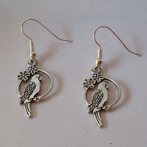 Parrot, Macaw, Parakeet Earrings image 5