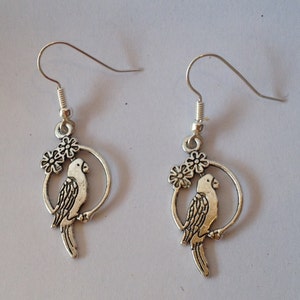 Parrot, Macaw, Parakeet Earrings image 4