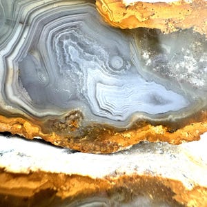 May include: A polished agate slice featuring concentric bands of grey, white, and translucent blue, framed by a thick, textured, golden-brown outer crust. The interior displays intricate, wavy mineral patterns and crystalline formations.