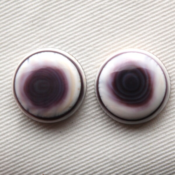 TWO Wampum Quahog Shell round 16MM purple