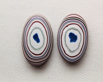 DEUX Cabochons de Fordite Ovales