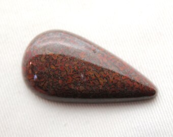 Dinosaur Bone Cabochon Long Teardrop red fossil