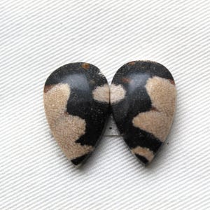 May include: A set of three ceramic mugs with a speckled, matte finish. The mugs are in shades of cream, light brown, and dark brown. Each mug has a simple, minimalist design, perfect for coffee or tea.