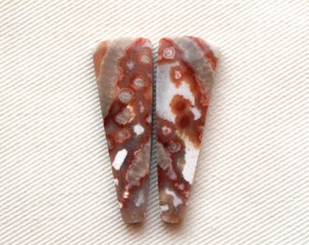 Orbicular Jasper Cabochon Pair Gemstone