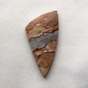 One green Picture Jasper Cabochon