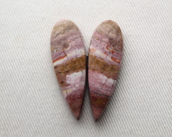 Paire de Cabochons de Bois Fossilisé rose pierre naturelle goutte