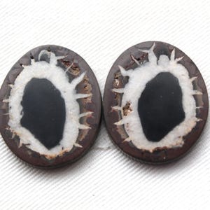 NICE Septarian Nodule Freeform sliced Gemstone Pair