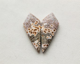 May include: Two heart-shaped pieces of agate, one brown and white with a speckled pattern, the other a light brown with a speckled pattern.