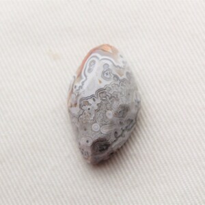 Rose cut Crazy Lace Agate Freeform Gemstone Cabochon