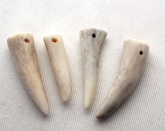 FOUR small deer antlers tips DRILLED naturally shed