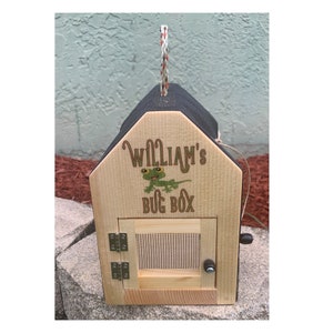 May include: A wooden bug box with a hinged door and a mesh screen. The box is painted with a green lizard and the text "William's Bug Box".