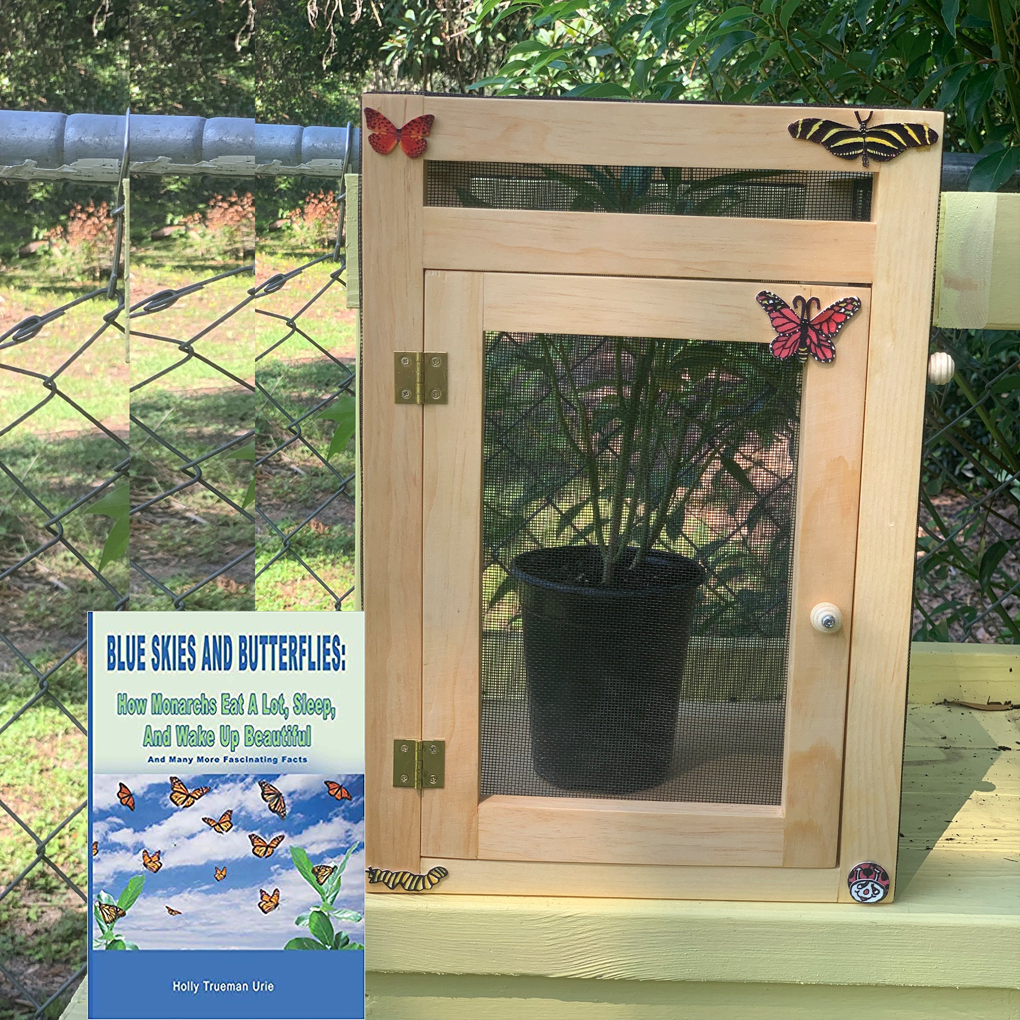 Monarch Butterfly Wood-frame Enclosure and Screenroom Habitat